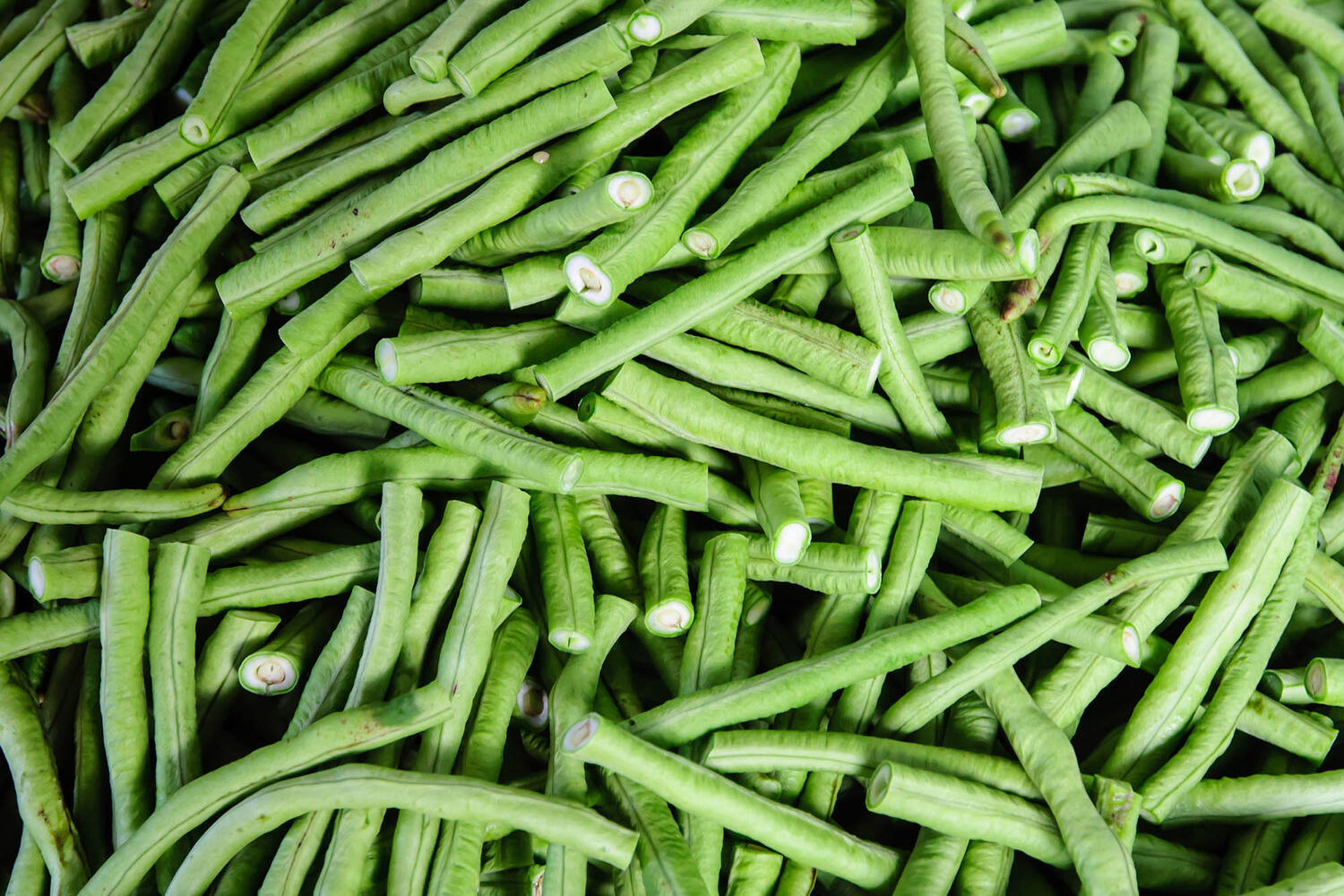 Haricots verts getopt 250gr stuk 2